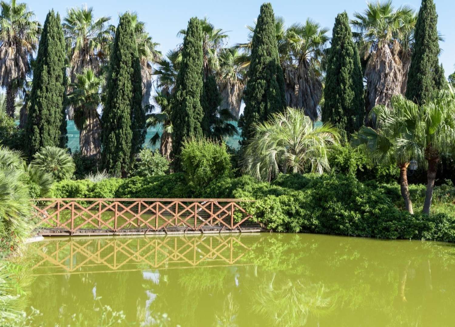 Laghetti, piante tropicali e are parlanti: alle porte di Bari c'� l'orto botanico Giardino dei tempi
